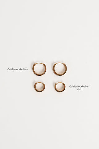 Diamond Gold Small Hoop Earrings - Caitlyn